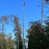 Flutlicht 2022